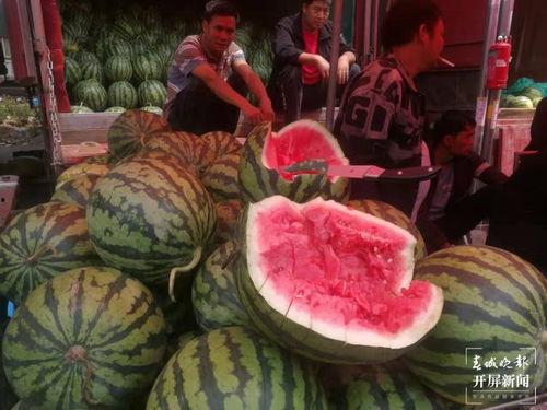 呼着吃的叫什么瓜,探寻“呼着吃”的独特风味——揭秘“叫什么瓜”的神秘魅力