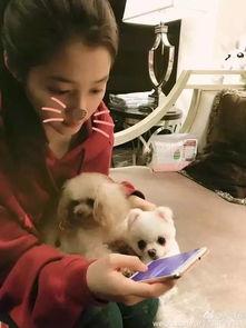 微博发女孩吃瓜,女孩们的微博吃瓜日常