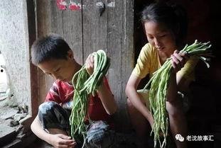 姐弟打架吃瓜图片高清,姐弟大战，谁才是家庭霸主？