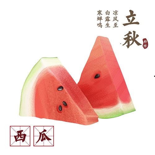 立秋吃瓜小朋友,小朋友的夏日收尾盛宴