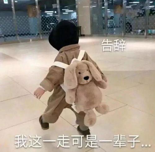 罗熙在线吃瓜,揭秘娱乐圈幕后故事