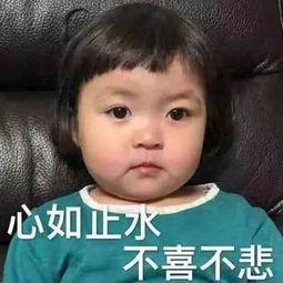 罗熙在线吃瓜,揭秘娱乐圈幕后故事