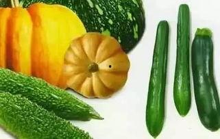 红柚吃瓜最快,揭秘娱乐圈最新热点