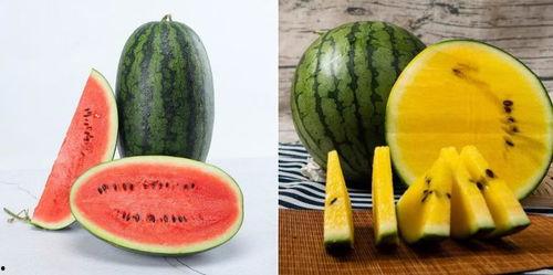 红柚吃瓜最快,揭秘娱乐圈最新热点