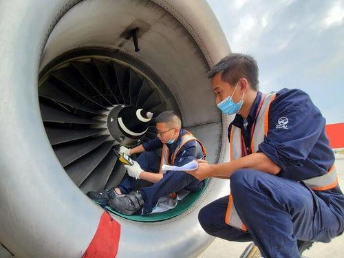 在飞机上吃瓜,瓜果飘香，云端共享美味