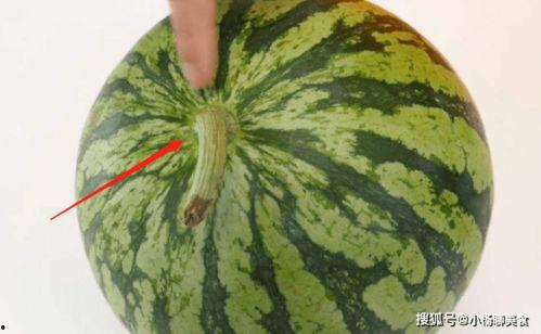 梗瓜怎么吃,解锁美味新境界