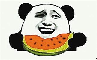 吃瓜的寓意,揭秘吃瓜背后的趣味与哲理