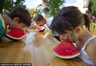 西班牙吃瓜,探寻瓜类佳肴的独特魅力