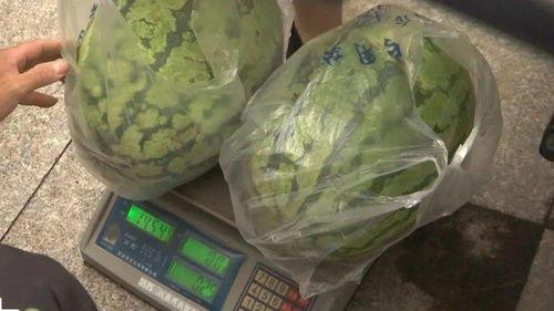 月溪村吃瓜,瓜香四溢的乡村生活画卷