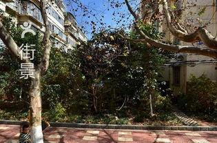 盘龙小区吃瓜,邻里琐事引发社区热议