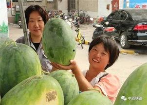 盘龙小区吃瓜,邻里琐事引发社区热议