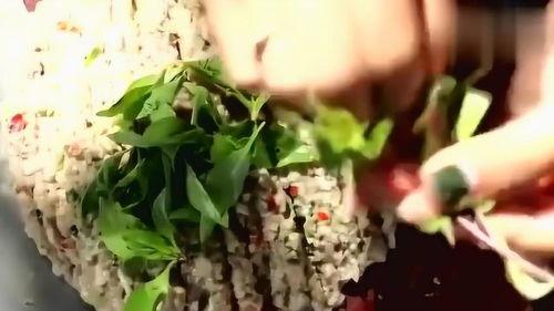 柬埔寨吃瓜网站,揭秘娱乐圈幕后故事