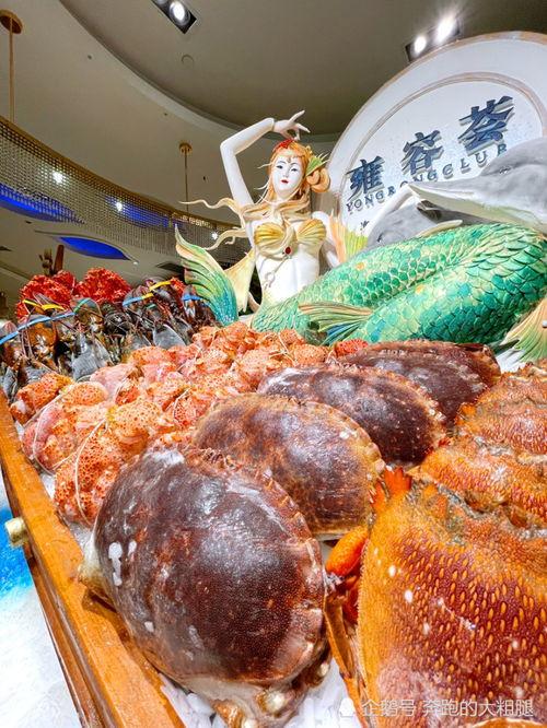 吃瓜王海鲜鸡,探寻美食与娱乐的完美融合