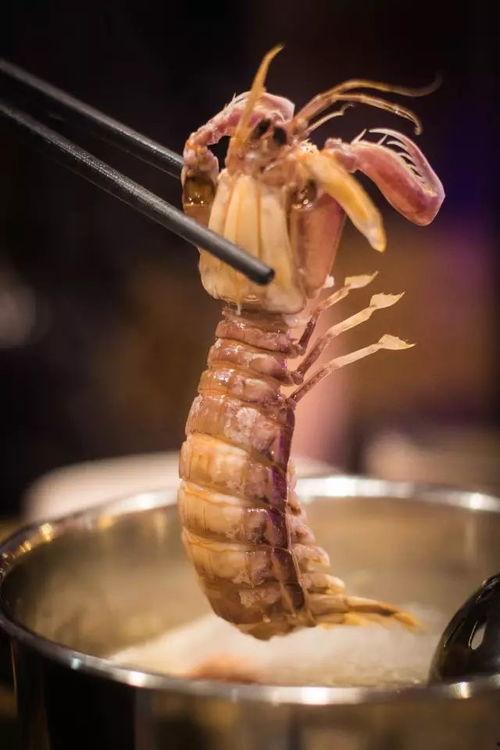 吃瓜王海鲜鸡,探寻美食与娱乐的完美融合