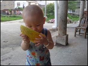 小朋友抢吃瓜,小朋友们的抢吃瓜大战