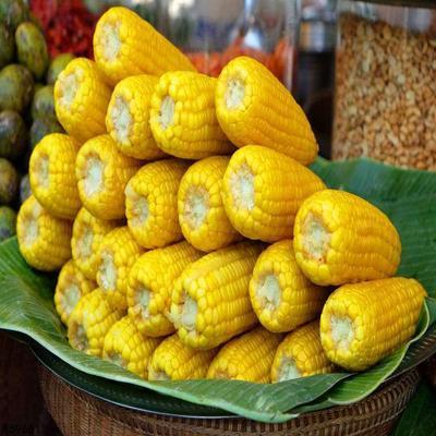 肺炎可以吃籽瓜吗,助力康复