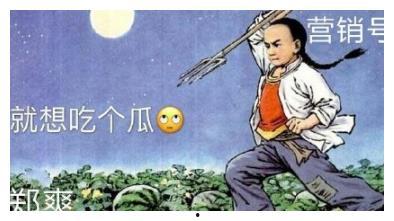不忘别离吃瓜版,一场别开生面的吃瓜盛宴