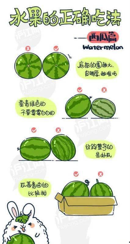 哪里能正确吃瓜,解锁夏日消暑新姿势