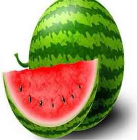 高大胖吃瓜,高大胖的瓜田奇遇记