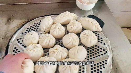 抖音包子吃瓜,包子吃瓜，趣味横生的味蕾盛宴