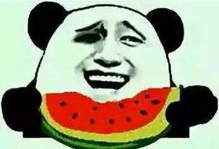 不知从何开始吃瓜,揭秘娱乐圈的繁华与喧嚣