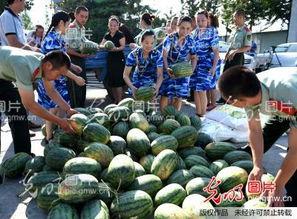 安徽校园暴力吃瓜,真相与反思