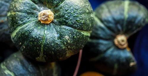 防胖吃瓜的神器,尽享美味——揭秘防胖吃瓜的神器秘籍