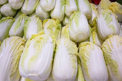 王大爷种花吃瓜,种花吃瓜乐无边