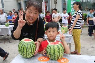 吉尼斯吃瓜,挑战极限的吃瓜盛宴