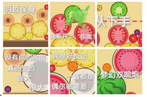 吃瓜要有气氛吗,打造热闹非凡的气氛攻略