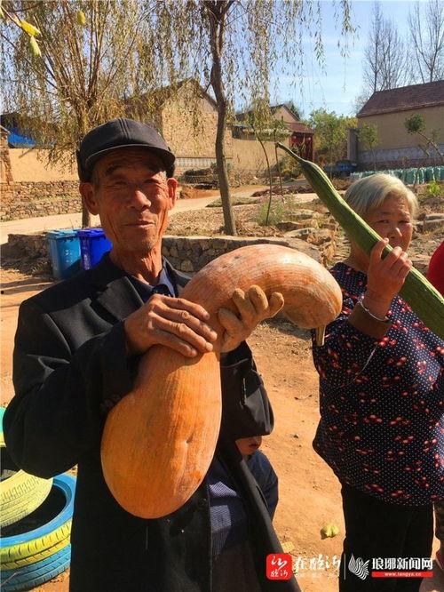 村头老太太吃瓜,村头老太太的瓜田奇遇记