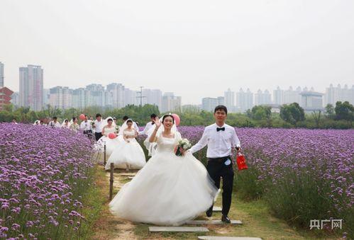 铜陵婚礼吃瓜,吃瓜群众围观趣味瞬间