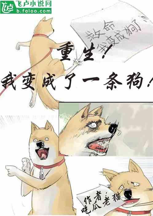 吃瓜老王全部小说