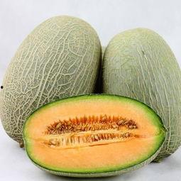 吃哈密瓜利弊,甜蜜诱惑背后的利弊解析