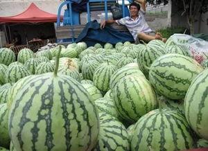 吃瓜群众绿幕图,揭秘网络红人的幕后生活