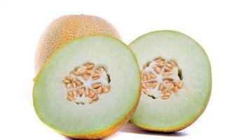 来姨妈吃哈密瓜好不,“经期女性食用哈密瓜的适宜性探讨”