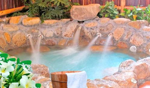 林花花吃瓜温泉,揭秘娱乐圈幕后故事