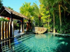 林花花吃瓜温泉,揭秘娱乐圈幕后故事