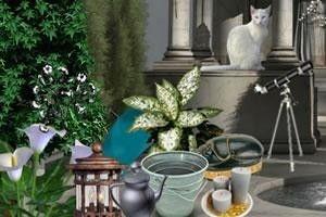 吃瓜神秘花园,探寻瓜界奇观背后的秘密