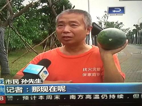 滨海吃瓜群众事件,揭秘网络舆论的风暴与反思