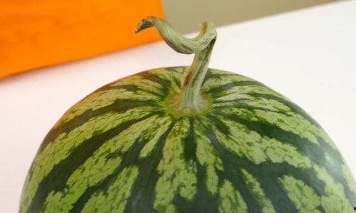 外网看云南大妈吃瓜,瓜果盛宴中的生活画卷