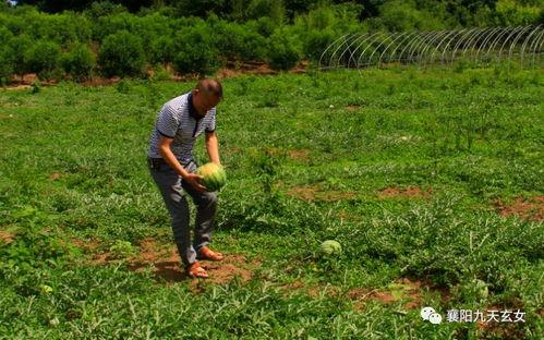 吃瓜花果山,吃瓜背后的神秘传说